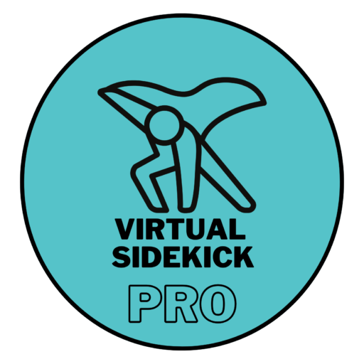 Virtual Sidekick Pro