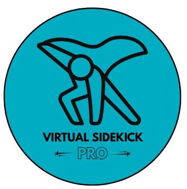 Virtual Sidekick Pro